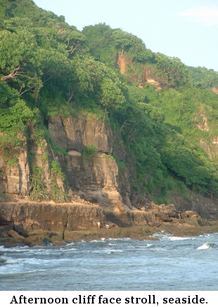 Afternoon cliff face stroll, seaside at K-59.